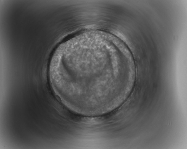 X0000089690297200707201726