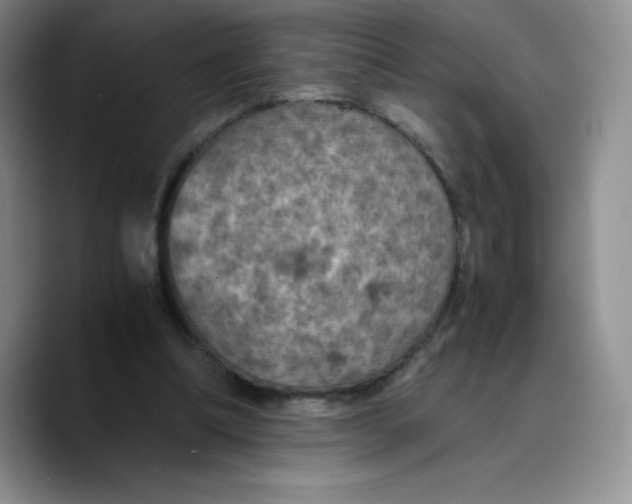 X0000089690298200707201725