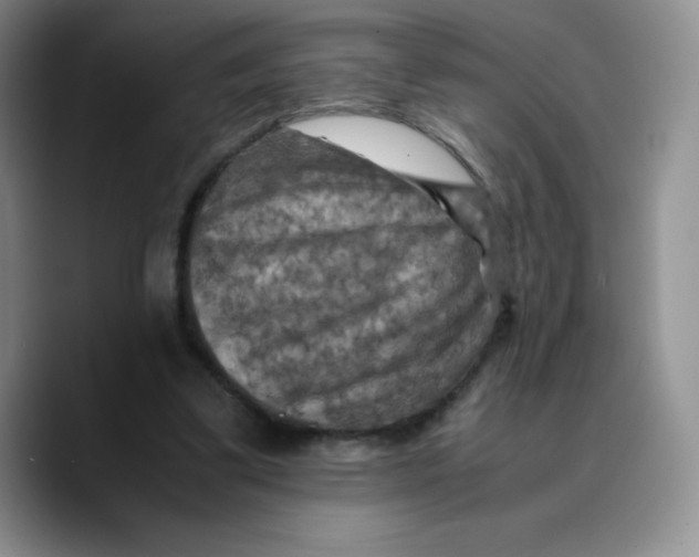 X0000089690299200707201725