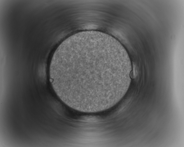 X0000089690300200707201725