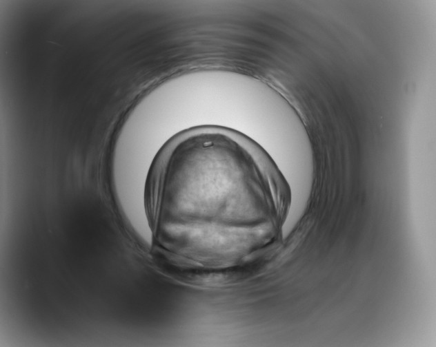 X0000089690301200707201725