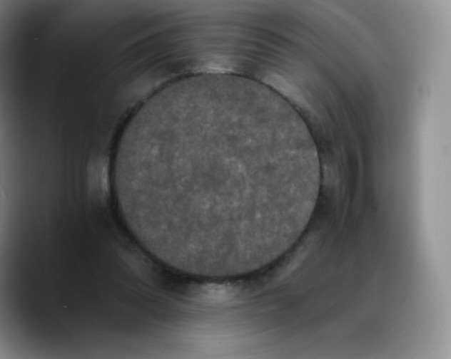 X0000089690302200707201725