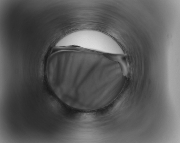 X0000089690303200707201725