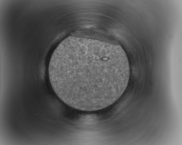 X0000089690304200707201725