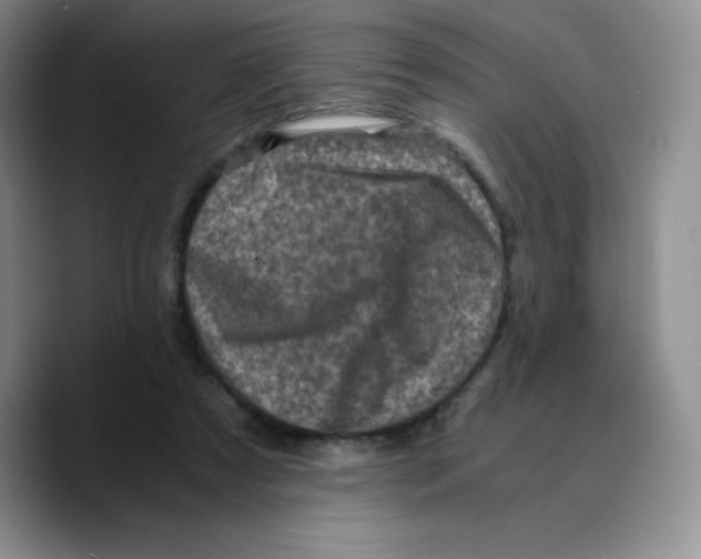 X0000089690305200707201725