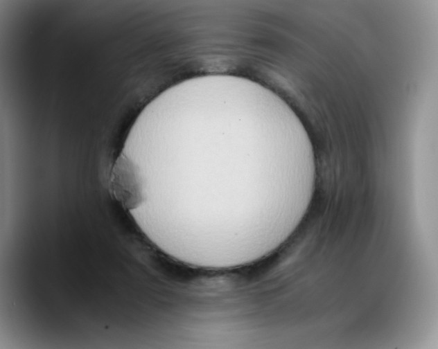 X0000089690307200707201725