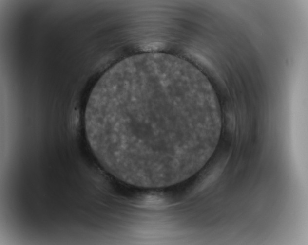 X0000089690308200707201725