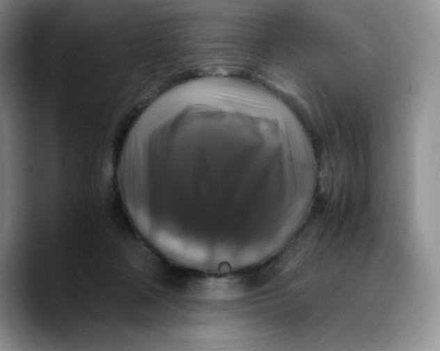 X0000089690314200707201725