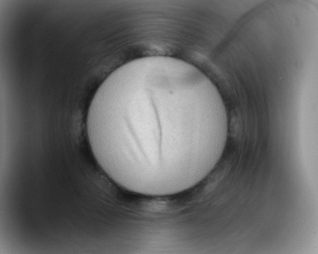 X0000089690318200707201725