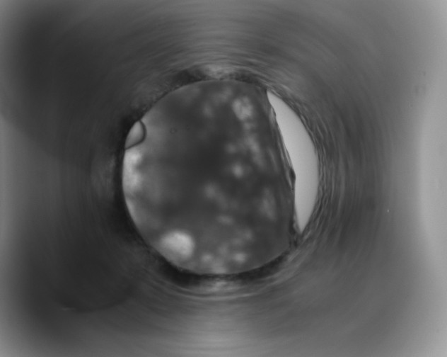 X0000089690319200707201725