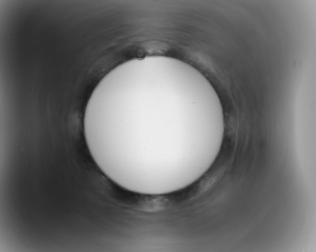 X0000089690321200707201725