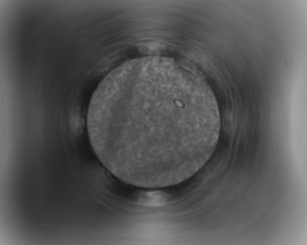 X0000089690324200707201725