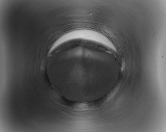 X0000089690325200707201725