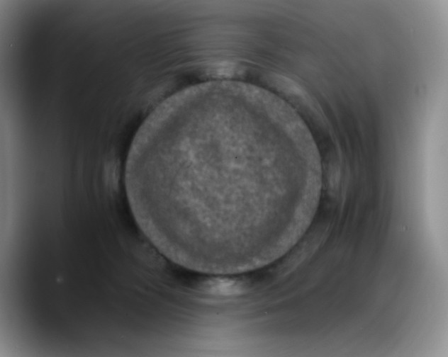 X0000089690326200707201725
