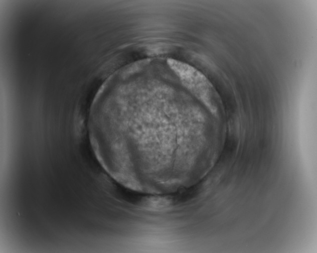 X0000089690327200707201725