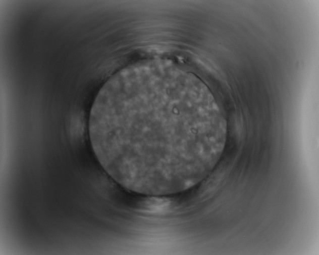 X0000089690328200707201725