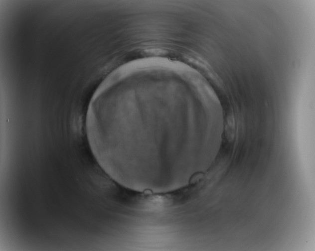 X0000089690330200707201725