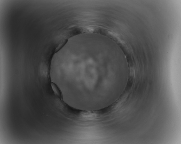 X0000089690331200707201725