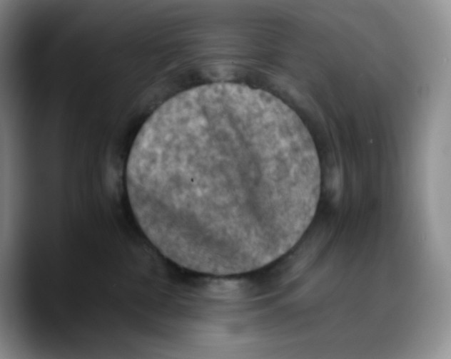X0000089690332200707201725