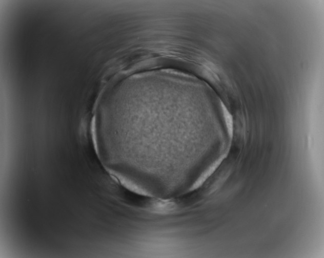 X0000089690333200707201725