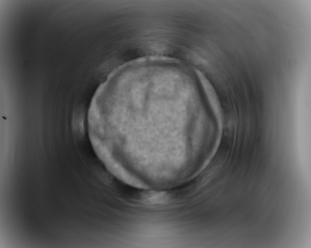 X0000089690334200707201725