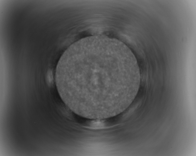 X0000089690335200707201725
