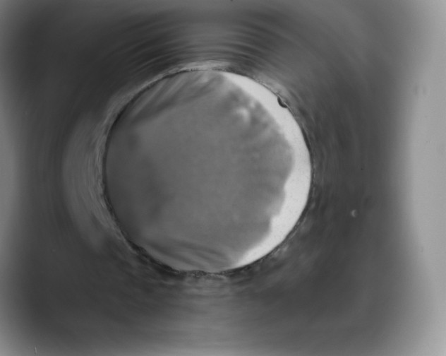 X0000089690337200707201724