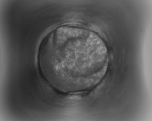X0000089690340200707201724