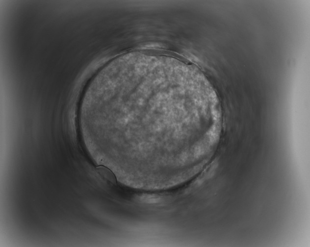 X0000089690341200707201724