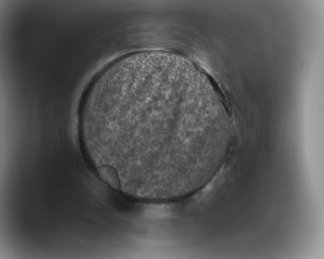 X0000089690342200707201724