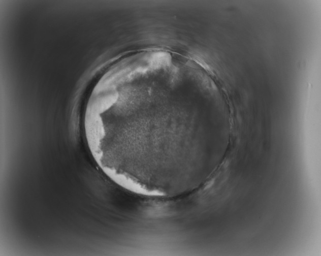 X0000089690343200707201724