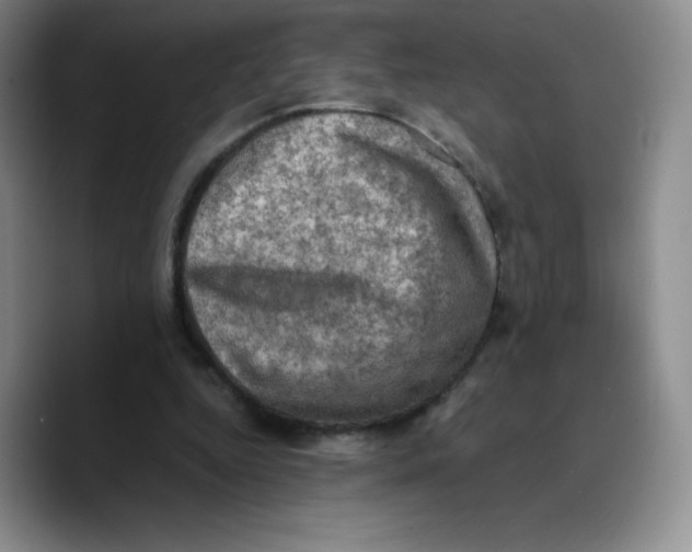 X0000089690344200707201724