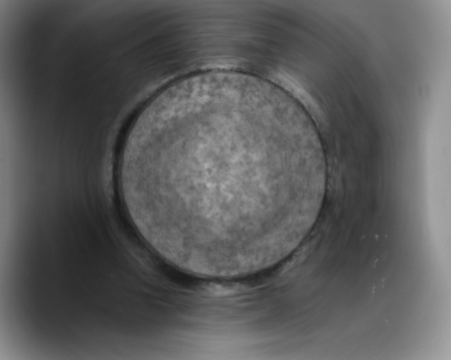 X0000089690346200707201724