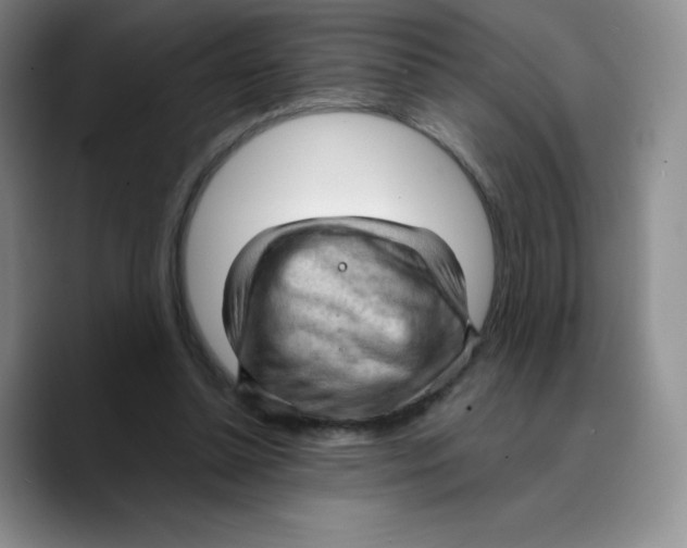 X0000089690348200707201725
