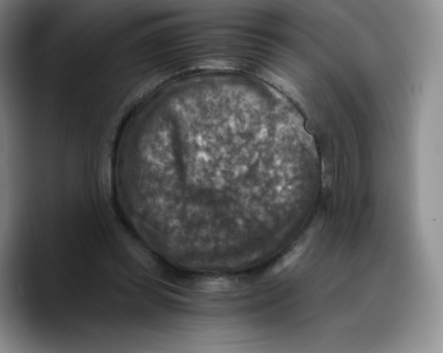 X0000089690349200707201725