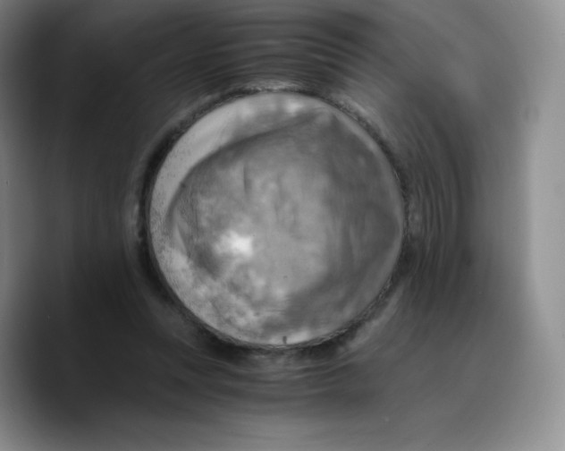 X0000089690351200707201725