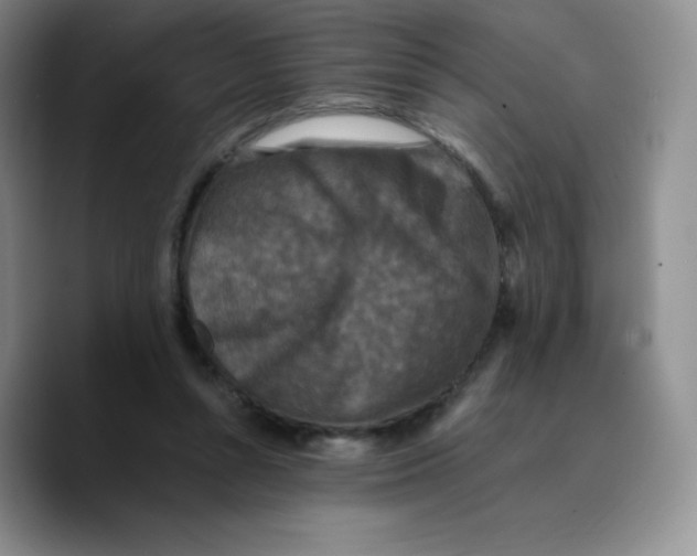 X0000089690352200707201725