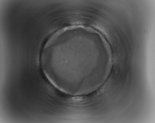 X0000089690353200707201725
