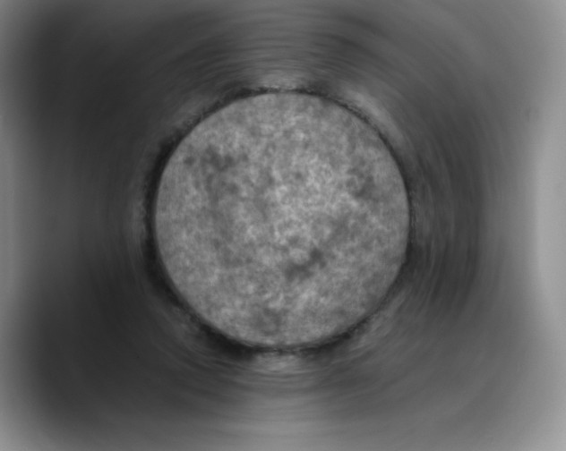 X0000089690354200707201725