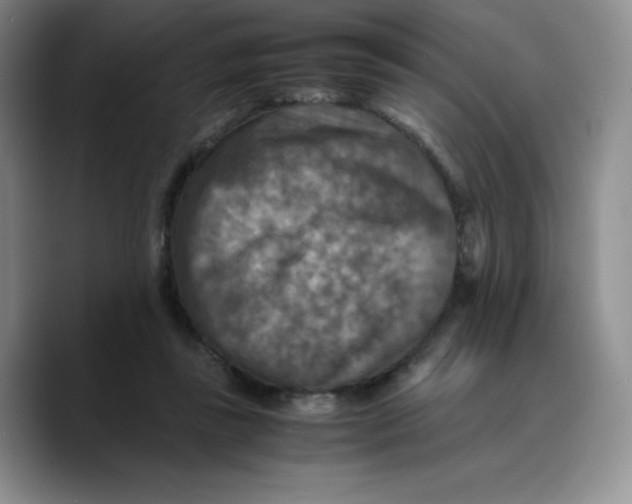X0000089690355200707201725