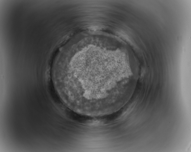 X0000089690356200707201725