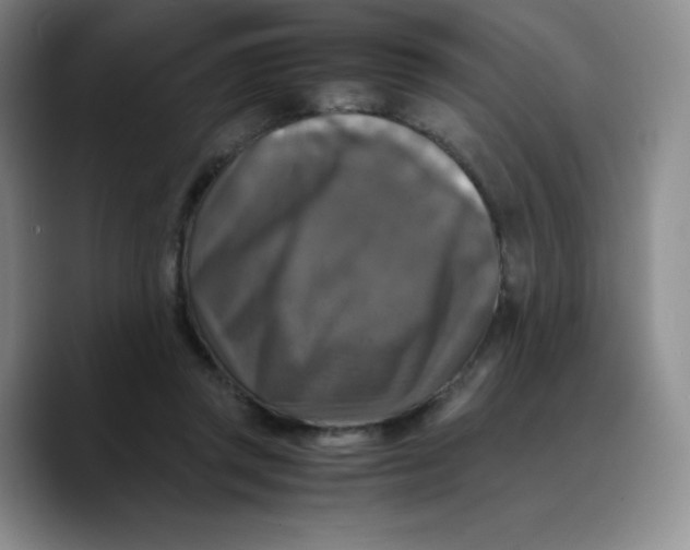 X0000089690357200707201725