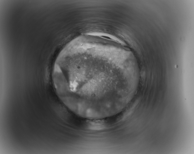 X0000089690359200707201725