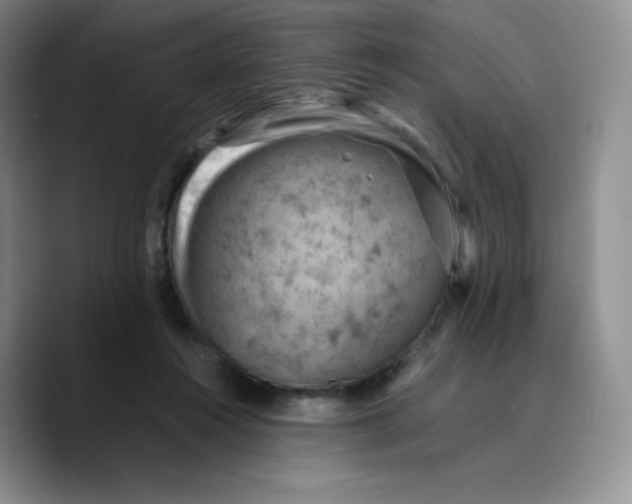 X0000089690360200707201725