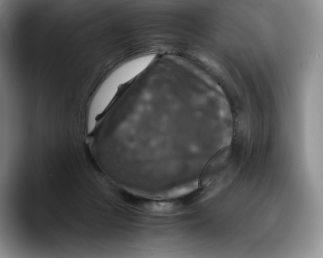 X0000089690361200707201725