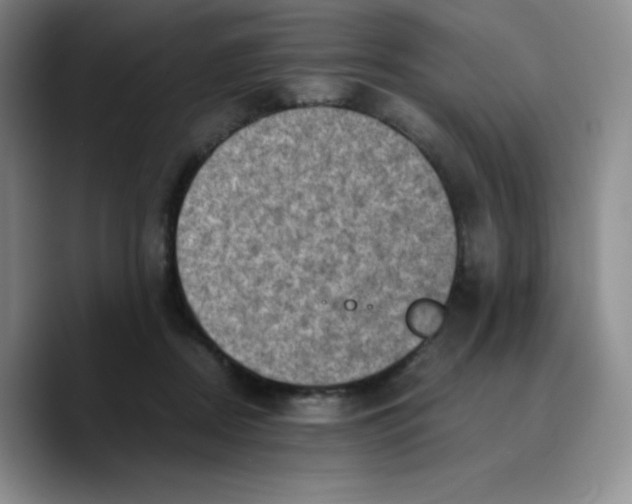 X0000089690362200707201725