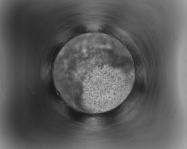 X0000089690364200707201725