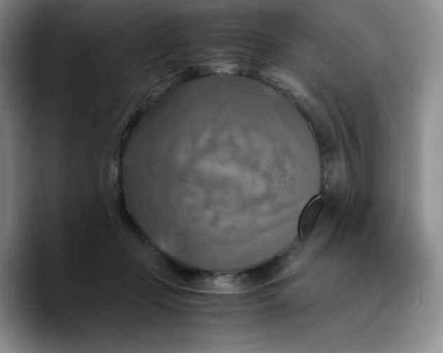 X0000089690365200707201725
