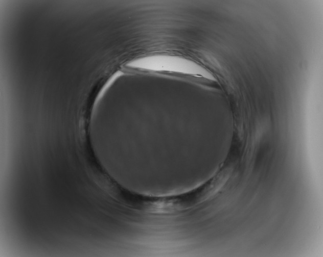 X0000089690366200707201725