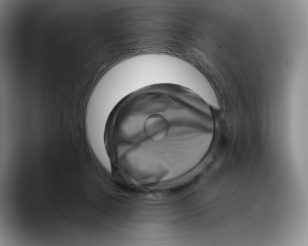 X0000089690368200707201725
